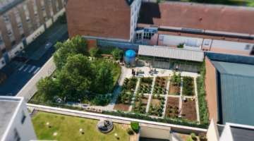 Vues Drone axe esquisse sur le Terrain après démolition Rue Ju